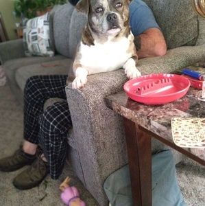 Meet your Posher, Darlene